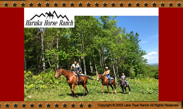 春香ホースランチ