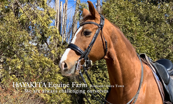 早来エクワインファーム